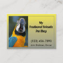 Recherche de perroquet cartes visite Animal