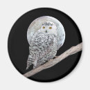 Recherche de neigeux magnets Chouette