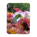 Zoek naar mum magneten Mallen