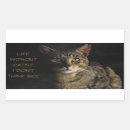 Recherche de mignon chaton autocollants Mème