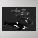 Recherche de orque posters noir et blanc