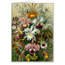 Recherche de illustration botanique vœux cartes Plante