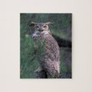 Recherche de à cornes puzzles Rapaces