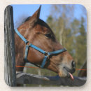 Zoek naar grappig paard onderzetters Ruiter