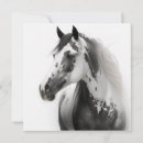 Recherche de chevaux correspondances cartes Dressage