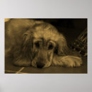 Recherche de compagnon animal art Dog