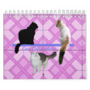 Zoek naar katten kalenders Tabby