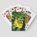 Recherche de abeilles jeux de cartes Insecte