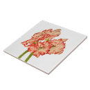 Recherche de sucre carreaux Nature
