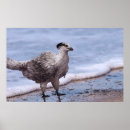 Recherche de archeopteryx Paléoart