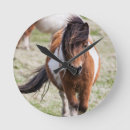 Recherche de poneys horloges Équin