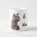 Recherche de miauler tasses Animaux