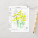 Recherche de herbals Pour tous