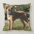 Recherche de faon coussins Position