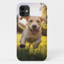 Zoek naar van een hond iphone hoesjes Labrador