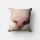 Recherche de nez coussins Chatte