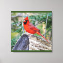 Recherche de cardinal painting toiles Faune