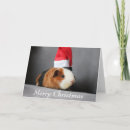 Recherche de porc noël cartes Rongeur
