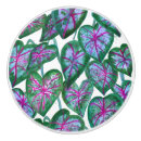 Recherche de heureux boutons et poignées de porte Rose