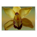 Recherche de orchidée jaune Floral