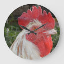 Recherche de brun et blanc horloges Visage