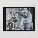 Recherche de hyène cartes postales Sauvage