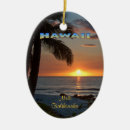 Recherche de hawaï ornements Bleu