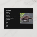 Recherche de castor cartes visite Mignon