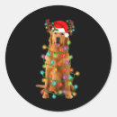 Recherche de golden retriever christmas autocollants Noël