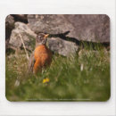 Zoek naar robin muismatten Wild
