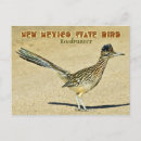 Recherche de road runner posters Oiseau