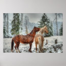Zoek naar palomino paard posters Paardenfotografie