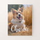 Recherche de dog puzzles Nom