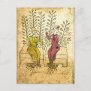 Recherche de herboriste cartes postales Vintage