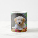 Recherche de tasse de griffonnage tasses Caniche