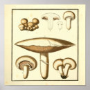 Recherche de cap art Vintage