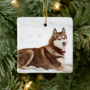 Recherche de siberian husky ornements Snow dog