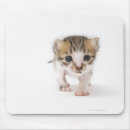 Recherche de nouveau né tapis souris Animal