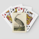 Recherche de illustré jeux de cartes Oiseau