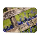Recherche de fleurs sauvages magnets Bouquet