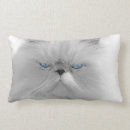 Zoek naar grumpy cat kussens Grappig