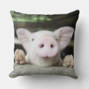 Recherche de porcelets coussins Animal