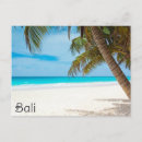 Recherche de palm tree cartes postales Travel