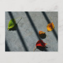 Recherche de color photographie Jaune