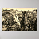 Recherche de equine posters Animaux de ferme