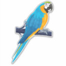 Recherche de macaw autocollants Exotique