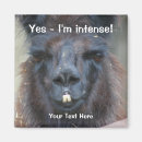 Zoek naar lama magnets magneten For her