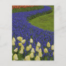 Recherche de paysage fleuri cartes postales Jardin