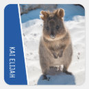 Zoek naar australie stickers For kids