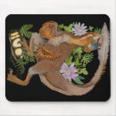 Recherche de rapace tapis souris Paléontologie